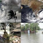 The Nature of the Environment is getting Horrible