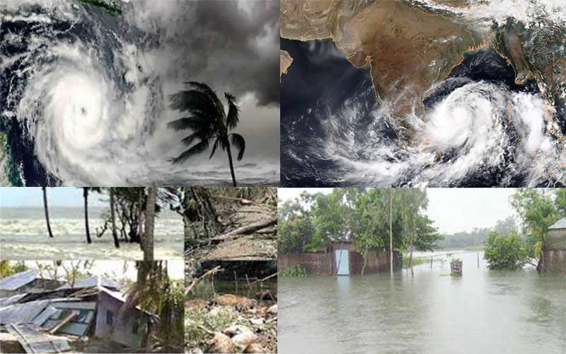 The Nature of the Environment is getting Horrible