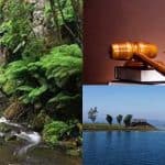Only the proper enforcement of laws can protect the environment of Bangladesh