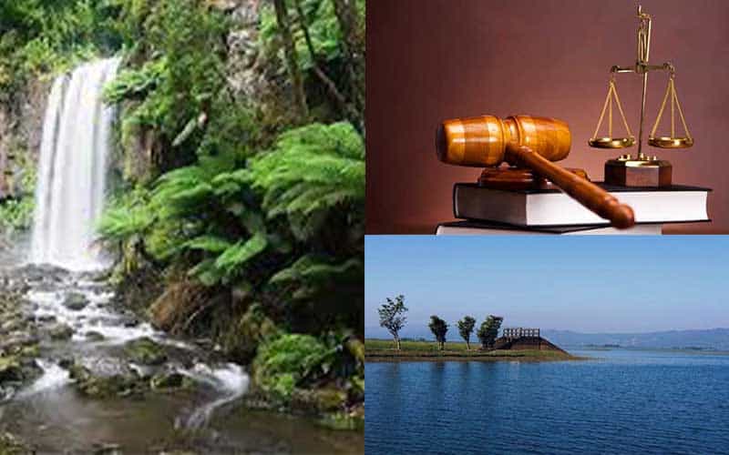 Only the proper enforcement of laws can protect the environment of Bangladesh