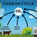 carbon-offset methods