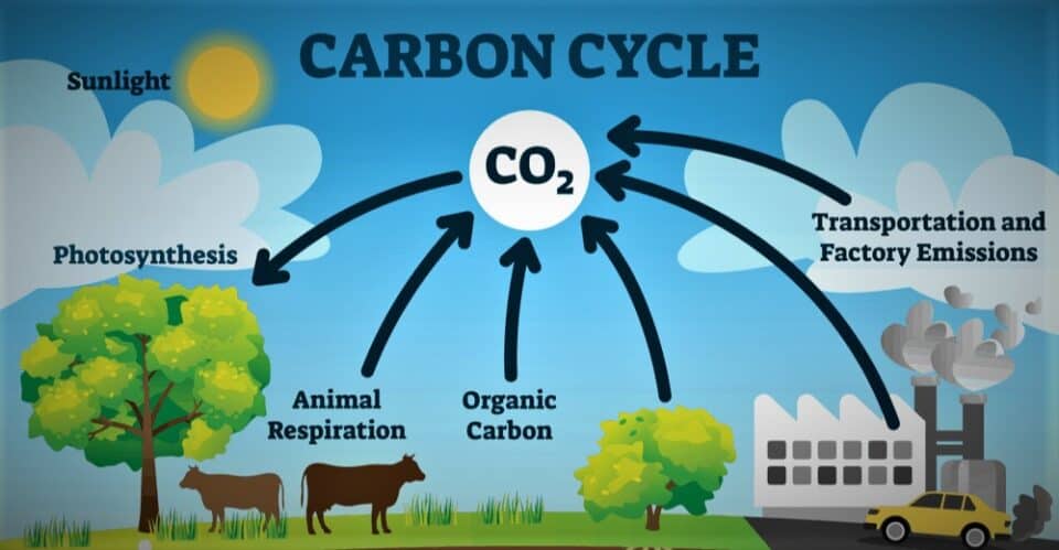 carbon-offset methods