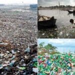 Plastic waste is the leading cause of climate change