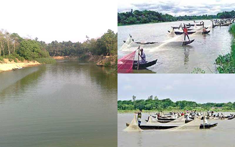 bangabandhu biodiversity exuberant heritage