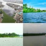 everyone is responsible for protecting our natural resource river