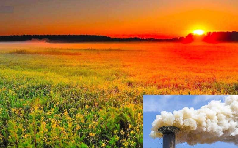 Natural carbon purification is possible