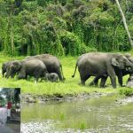 bangabandhu corridor will construct at chattogram hill tracts for wildlife conservation