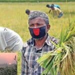 food production will decrease in south asian countries