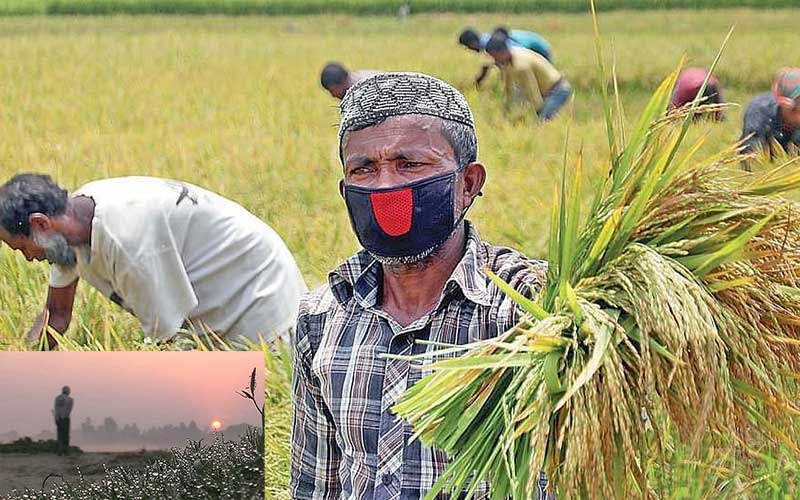 food production will decrease in south asian countries