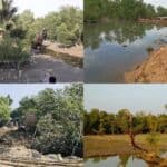 occupancy and pollution are increasing in coxs bazar