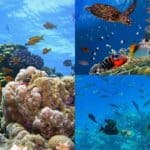 the frameworks of the united nations must be adhered to protect the marine environment