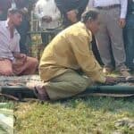 wild animals rescued from the chandramahal eco park were released in the sundarbans