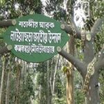 excessive tourists pressure creates a detrimental effect on bangladeshs lauyachhara national park