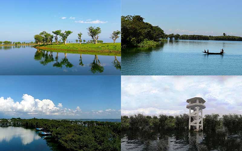 the bangladesh government is doing everything necessary to save the wetlands