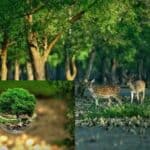 the government is trying to protect the environment and biodiversity