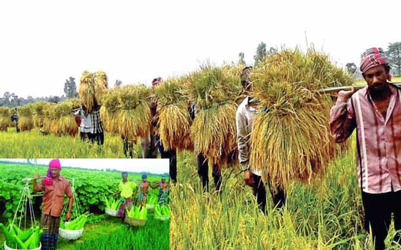 farmers can play a pivotal role in protecting the environment