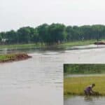the flash flood is shattering the farmers dream