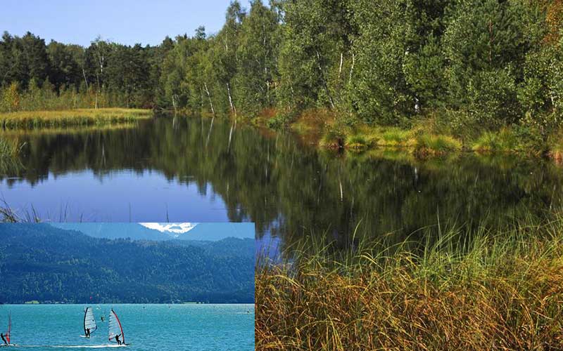 land cultivation can be an innovative way to protect the environment