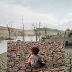 buyers are turning to cotton fabric to tackle climate change