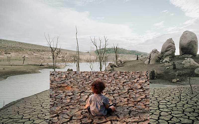 buyers are turning to cotton fabric to tackle climate change