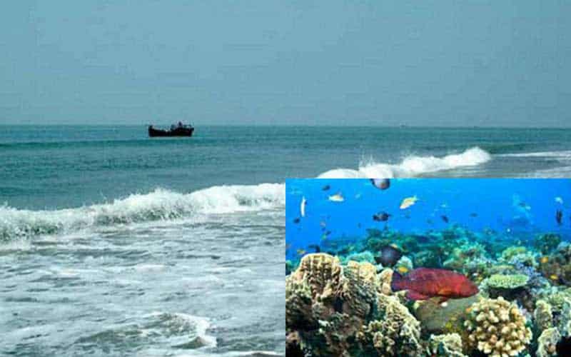 coastal communities need to mobilize to protect marine resources