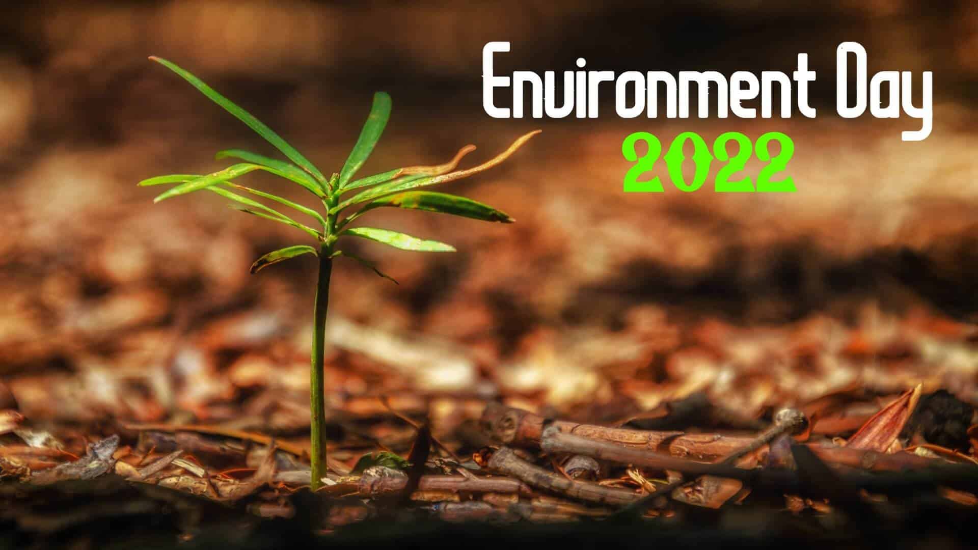 environment day 2022