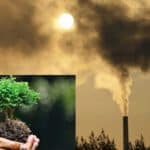 india plagued by pollution report of lancet planetary health