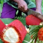 the world will face a severe food crisis due to climate change