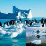a new world hides in antarctica