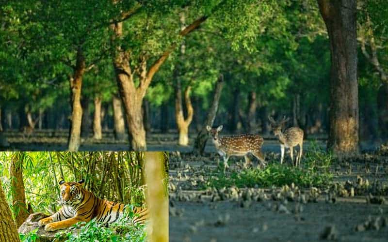 bangladesh is giving importance to protecting biodiversity