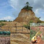 a thriving business of cutting the hills in pmkhali of coxs bazar, bangladesh