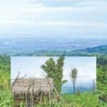 climate change has adversely affected jhum farming in bandarban hill tracts, bangladesh 