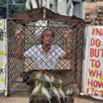 environmental activist hossain sohel has started a program by locked himself in the cage to demand the release of animals and birds