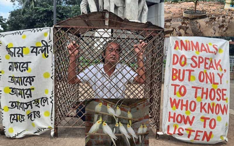 environmental activist hossain sohel has started a program by locked himself in the cage to demand the release of animals and birds
