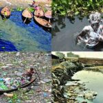 the adverse effects of river pollution threaten public health