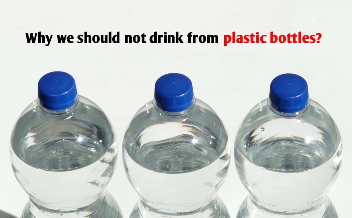 https://thegreenpagebd.com/wp-content/uploads/2022/08/Why-we-should-not-drink-from-plastic-bottles-1.jpg