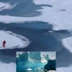 global warming resulting adverse effects of climate change on the polar regions