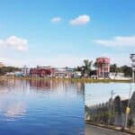 madaripur is going to be the first horn free district in bangladesh