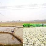 six northern districts of bangladesh are at risk of severe drought