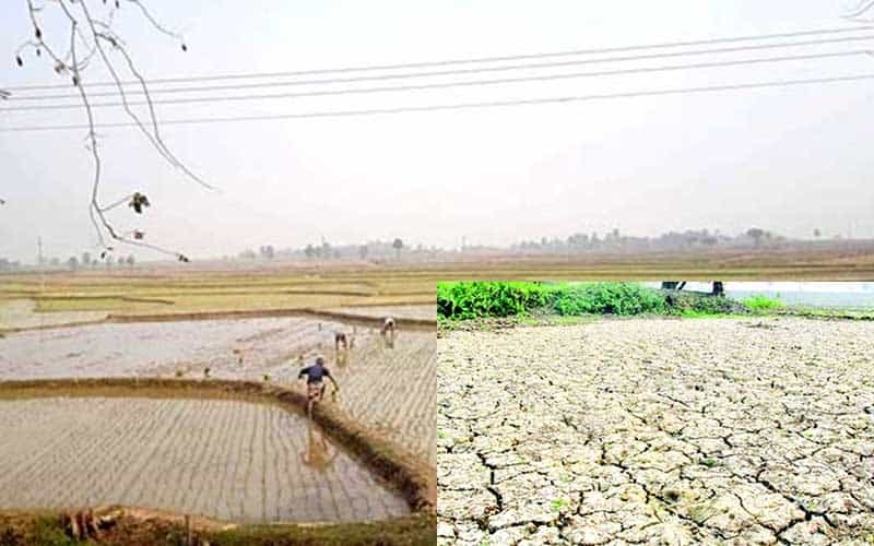 Six Northern Districts Of Bangladesh Are At Risk Of Severe Drought