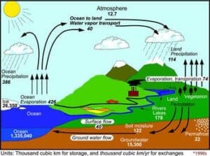 পানিচক্র (water cycle)