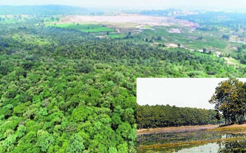 forests survive for minority people, syeda rizwana hasan, chief executive of bela