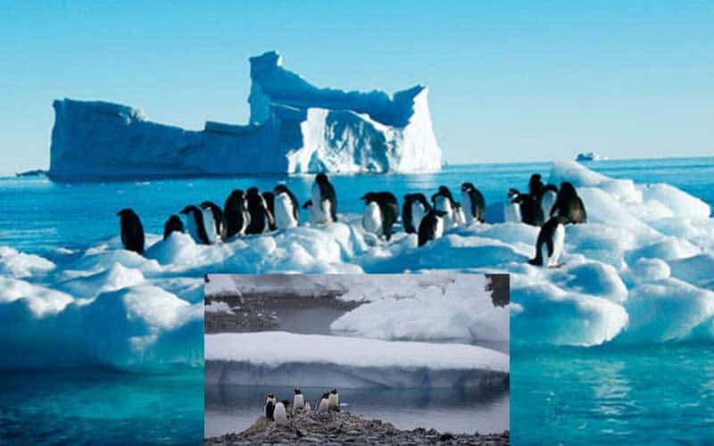 The conference Antarctica Continent and follow up the 'Antarctica 