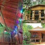 the demand for eco friendly bamboo houses is increasing