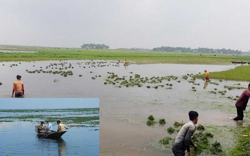 climate adaptation activities underway in varendra and haor areas