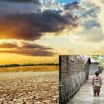 development projects should think about service sustainability in advance