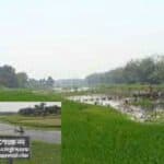the kapotaksha river (bangladesh) is on the verge of dying