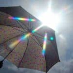  2023 could be the hottest year ever