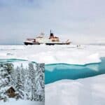 a snowy environment increases vitality