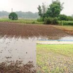  due to the impact of climate change, salt has invaded the agricultural land